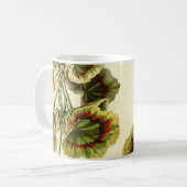 'Miss Pollack' Zonal Geranium Kaffeetasse (Vorderseite Links)