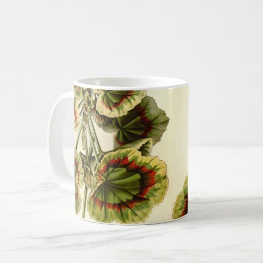 'Miss Pollack' Zonal Geranium Kaffeetasse (Vorderseite Links)
