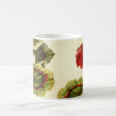 'Miss Pollack' Zonal Geranium Kaffeetasse (Mittel)