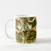 'Miss Pollack' Zonal Geranium Kaffeetasse (Links)