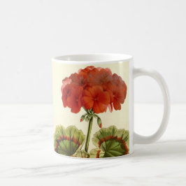 'Miss Pollack' Zonal Geranium Kaffeetasse