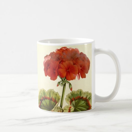 'Miss Pollack' Zonal Geranium Kaffeetasse (Rechts)