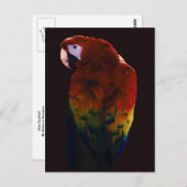 Miss Scarlett Postkarte (Vorne/Hinten)