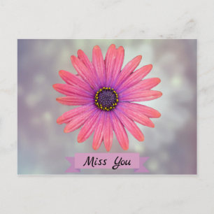 Miss Sie Hübsch Daisy Blume Petals Postkarte