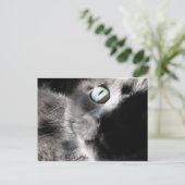 "Miss Wertvoll" Postkarte (Stehend Vorderseite)