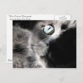 "Miss Wertvoll" Postkarte (Vorne/Hinten)