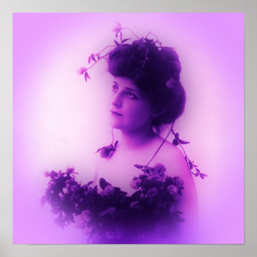 Miss Whitlock Lilac Poster (Vorne)