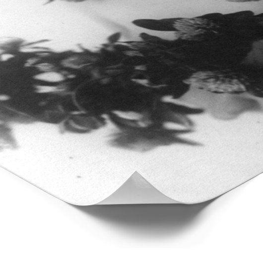 Miss Whitlock Poster (Ecke)