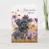 Miss You Affenpinscher Hund Wildblume Meadow Karte (Vorderseite)