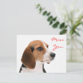 Miss You Beagle Welpe Hund Gruß Postkarte (Stehend Vorderseite)