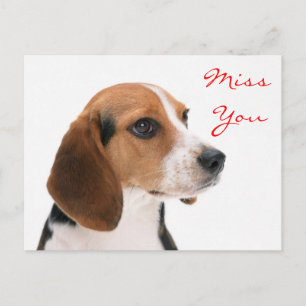 Miss You Beagle Welpe Hund Gruß Postkarte
