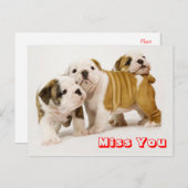 Miss You Bulldog Welpe Hund Gruß Postkarte (Vorne/Hinten)
