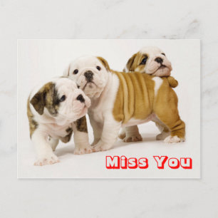 Miss You Bulldog Welpe Hund Gruß Postkarte