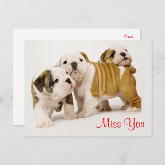 Miss You Bulldog Welpe Hunde Gruß Postkarte (Vorne/Hinten)