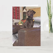 Miss You Chocolate Labrador Retriever im Stuhl Karte (Vorderseite)