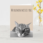 Miss You from Cat Funny Karte (Gelbe Blume)