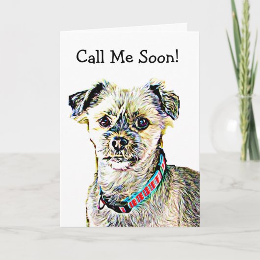 Miss You, Funny Shitzu Dog Card Karte (Vorderseite)