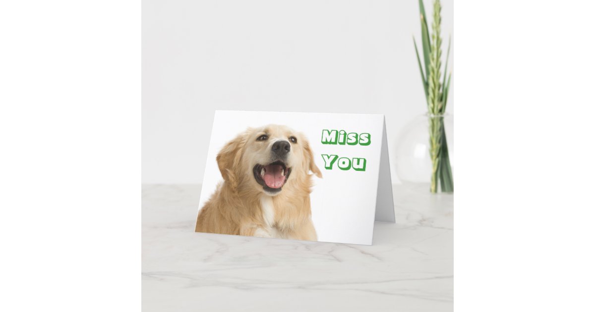 Miss You Golden Retriever Welpe Hund Grusskarte Karte Zazzle De