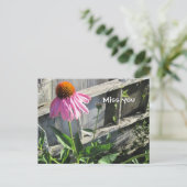 Miss you pink Daisy Postkarte (Stehend Vorderseite)
