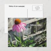 Miss you pink Daisy Postkarte (Vorne/Hinten)