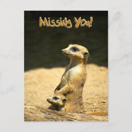 Miss You Postcard Postkarte (Vorderseite)
