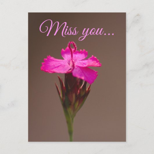 Miss you... postkarte (Vorderseite)