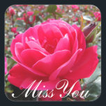 Miss You Romantic Pink Rose Stickers<br><div class="desc">Miss You Romantic Pink Rose Stickers</div>