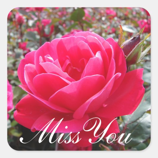 Miss You Romantic Pink Rose Stickers (Vorderseite)