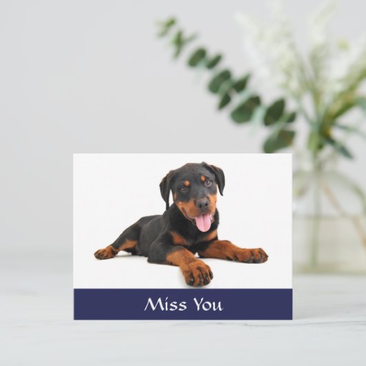 Miss You Rottweiler Puppy Dog Gruß Postkarte (Stehend Vorderseite)