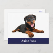 Miss You Rottweiler Puppy Dog Gruß Postkarte (Vorne/Hinten)