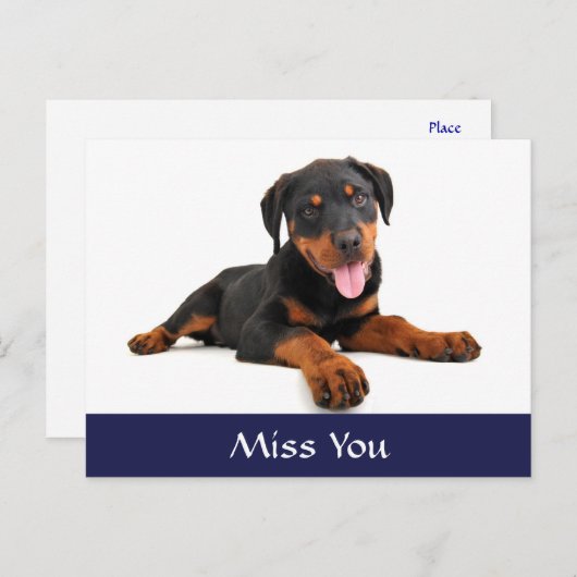 Miss You Rottweiler Puppy Dog Gruß Postkarte (Vorne/Hinten)