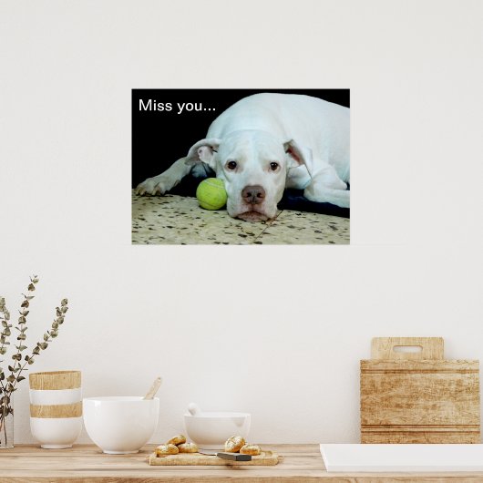 Miss you sad puppy with toy ball - cute dog poster (Küche)