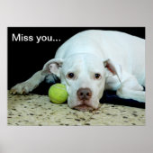 Miss you sad puppy with toy ball - cute dog poster (Vorne)
