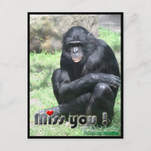 Miss you Schimpanse Postkarte