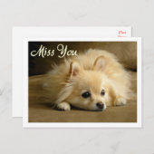 Miss You Spitz Welpe Hund Gruß Postkarte (Vorne/Hinten)