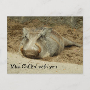 Miss You Wathog Postcard Postkarte