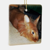 MissbilligenHäschen-Verzierung Keramikornament (Rechts)