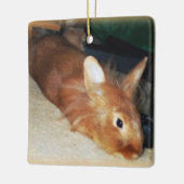 MissbilligenHäschen-Verzierung Keramikornament (Links)