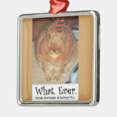 MissbilligenHäschen, was überhaupt verzieren Silbernes Ornament (Links)