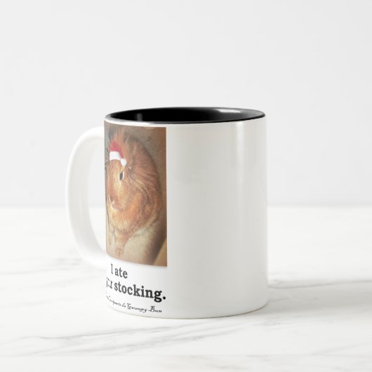 Missbilligenton-Tassen des häschen-Kaninchen-zwei Zweifarbige Tasse (Vorderseite Links)