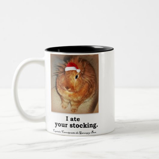 Missbilligenton-Tassen des häschen-Kaninchen-zwei Zweifarbige Tasse (Links)