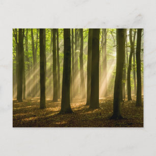 Missed and Loved Postkarte