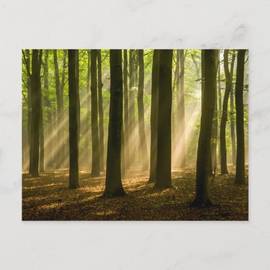 Missed and Loved Postkarte (Vorderseite)