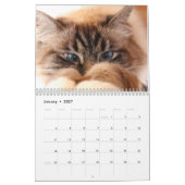 Missenell 2022 Kalender (Jan 2027)