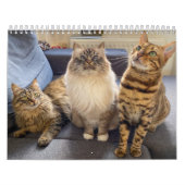 Missenell 2022 Kalender (Titelbild)