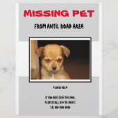 MISSING PET 02 FLYER POSTER (Vorne)