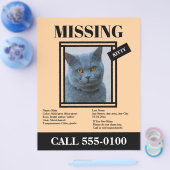 Missing Pet Flyer Custom Photo, Info (Einzeln)