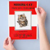 missing pet flyer,poster flyer (Hand)