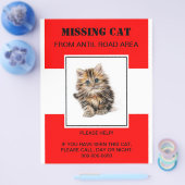 missing pet flyer,poster flyer (Einzeln)