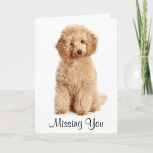 Missing You Apricot Poodle Puppy Dog Card Karte